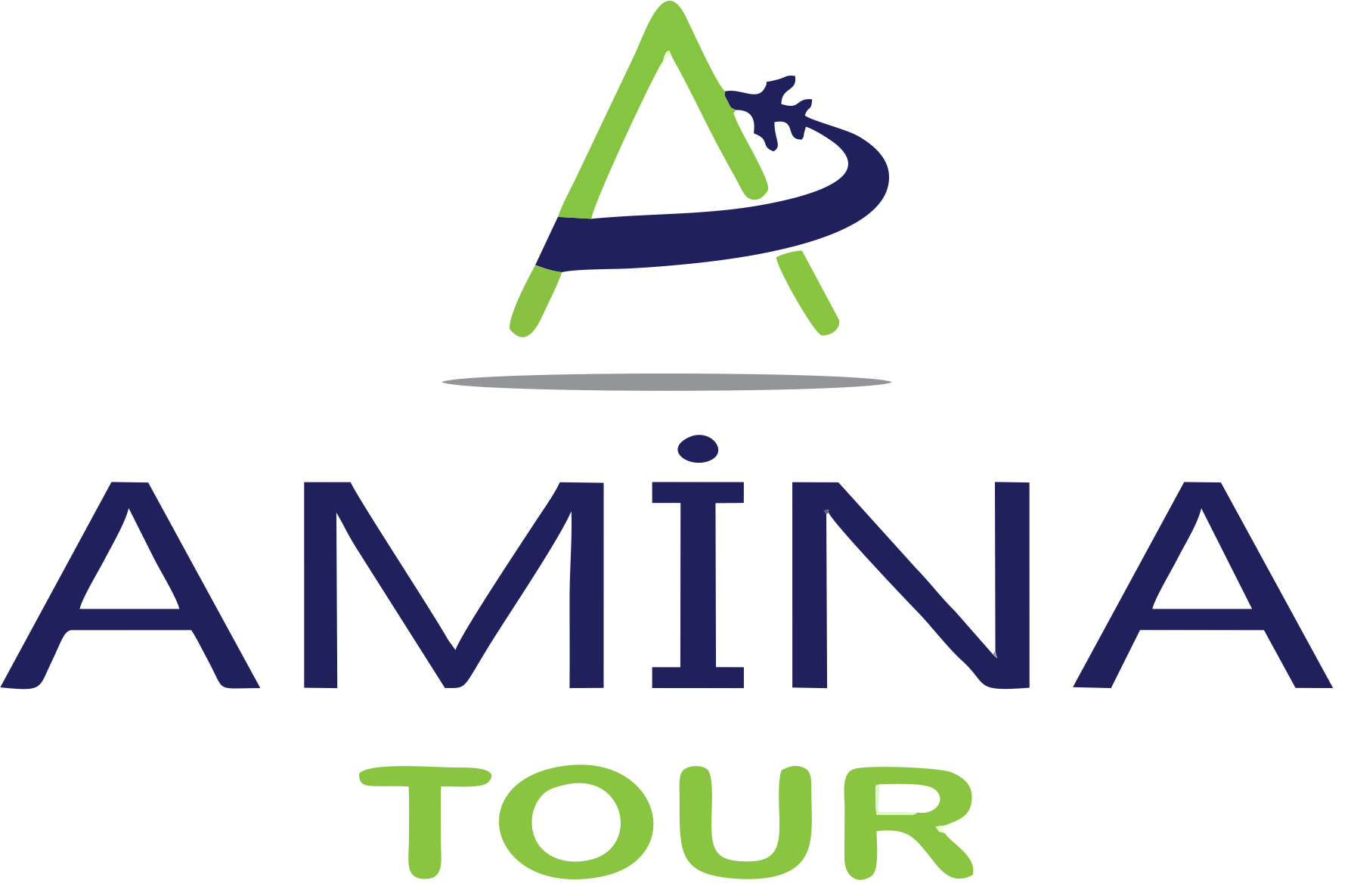 aminatour.az